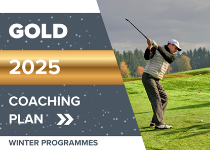 Picture of Gold 20-hour lesson package