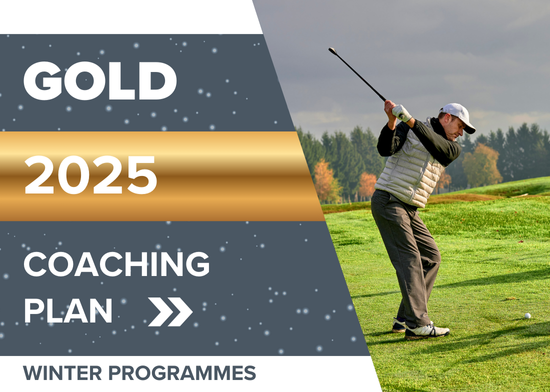 Picture of Gold 20-hour lesson package
