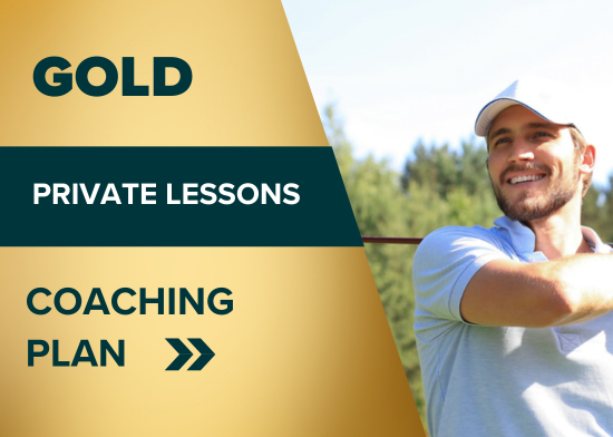 Picture of Gold 20-hour lesson package