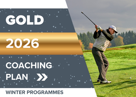Picture of Gold 20-hour lesson package